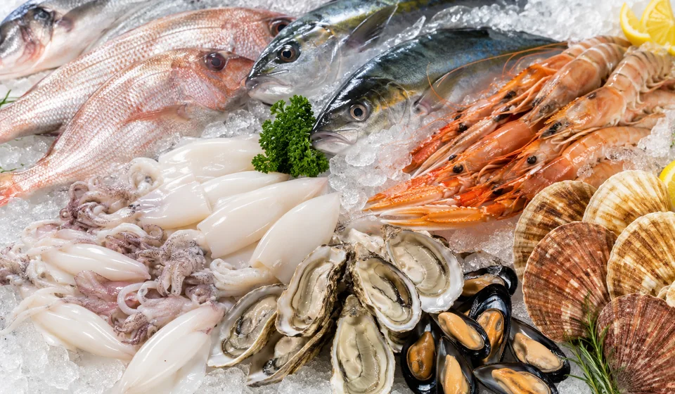 Fresh fish, prawns, squid, oysters and shellfish displayed on ice