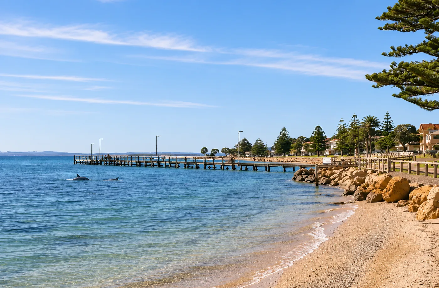 Dolphins surfacing in Oyster Bay with Stansbury Jetty and the foreshore in the background